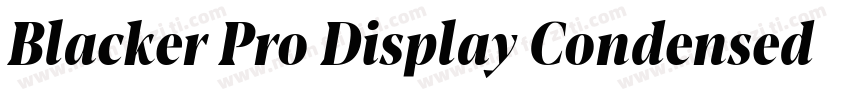 Blacker Pro Display Condensed Trial字体转换
